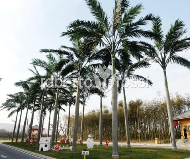 palmieri-artificiali-amenajari-plaja-terasa