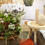 Ce-ţi trebuie ca să poţi îngriji corect florile şi plantele de interior?